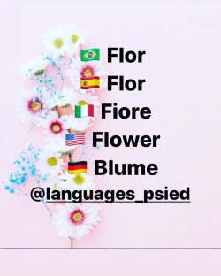 languages psied 20200617 5